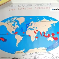 mapa świata konturowa 40x67cm mata