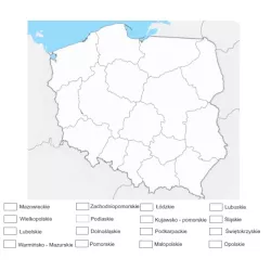 mapa Polski zmywalna mata- 130 X 100 CM - administracyjna do kolorowania