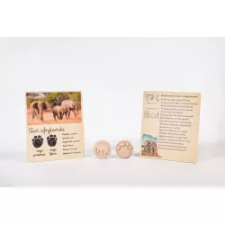 drewniane karty zwierzęta Afryki Afryka