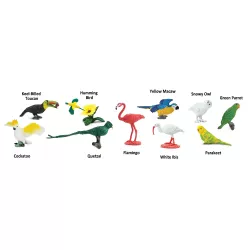Safari Ltd. | Tuba - Ptaki egzotyczne