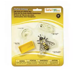 Safari Ltd. | Cykl życia pszczoły SFS622716