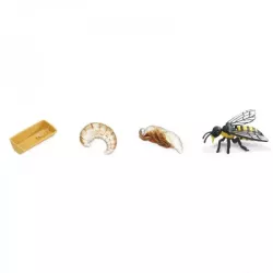 Safari Ltd. | Cykl życia pszczoły SFS622716