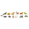 Safari Ltd. | Tuba - Zwierzęta domowe SFS681504