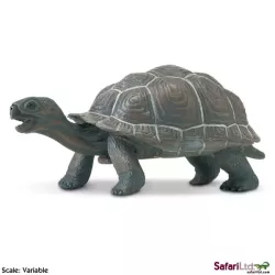 Safari Ltd. | Młode żółwia słoniowego SFS260829