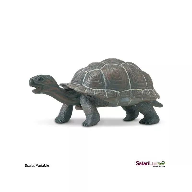 Safari Ltd. | Młode żółwia słoniowego SFS260829