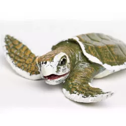 Safari Ltd. | Młode żółwia zatokowego SFS267429