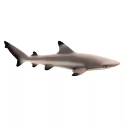 Safari Ltd. | Żarłacz (Carcharhinus melanopterus) SFS200029