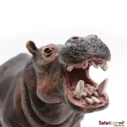 Safari Ltd. | Hipopotam nilowy SFS229029