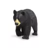 Safari Ltd. | Niedźwiedź czarny SFS112589